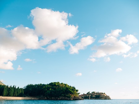 金運線の島模様や枝分かれが告げるお金の使い方