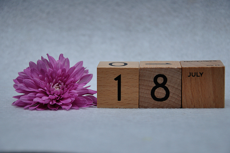 日々の疲れを癒すための年間風水：癒しの空間を作る模様替え方法