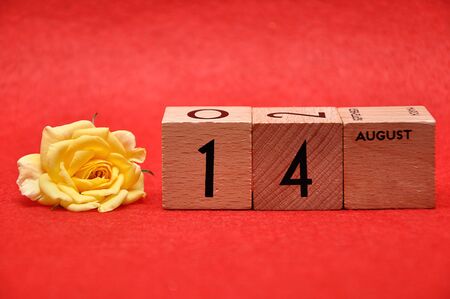 断捨離と風水：一年を通じて運気を呼び込む整理整頓のコツ