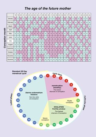 日本の就職・転職活動における四柱推命活用法