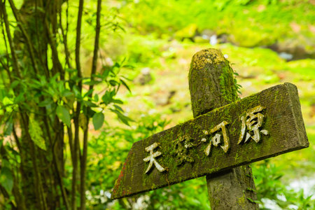 干支にまつわる日本の伝統行事と四柱推命の関係