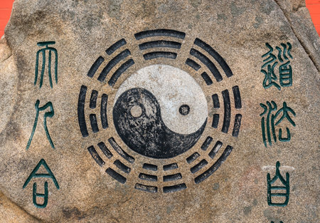 日本で人気のペットと飼い主の五行相性分析