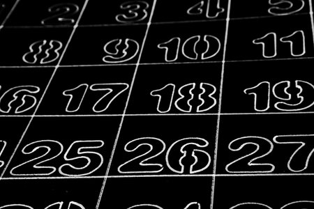 自営業・フリーランス向けタロット占い～仕事拡大と人脈形成のコツ