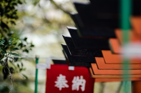 健康運と五行のバランス:日本人特有の疾病との関係を考察