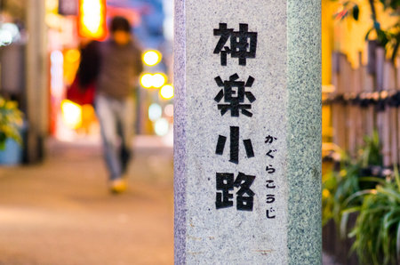 音の響きによる日本人の姓名の良し悪しの評価と文化的背景