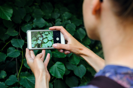 玄関の運気アップ術—開運を呼び込む配置とアイテム