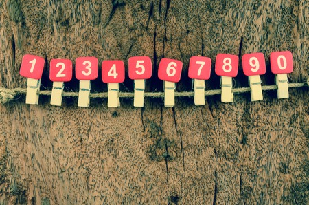 仕事運・金運のホロスコープの読み方